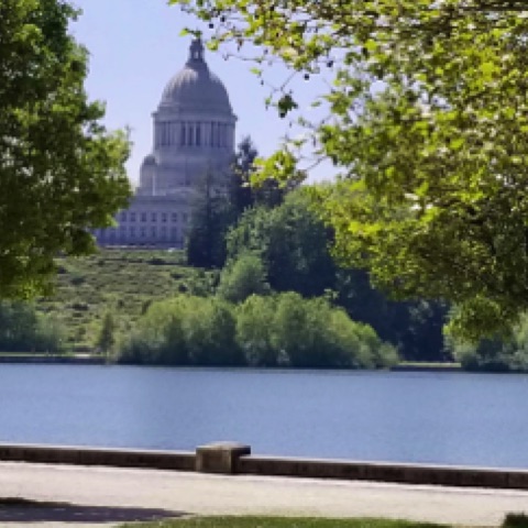 State Capitol - Olympia