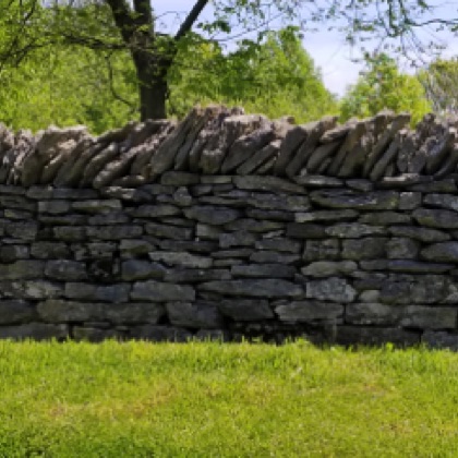 Gorgeous stone wall