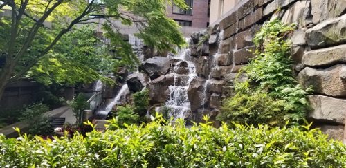 Waterfall Park